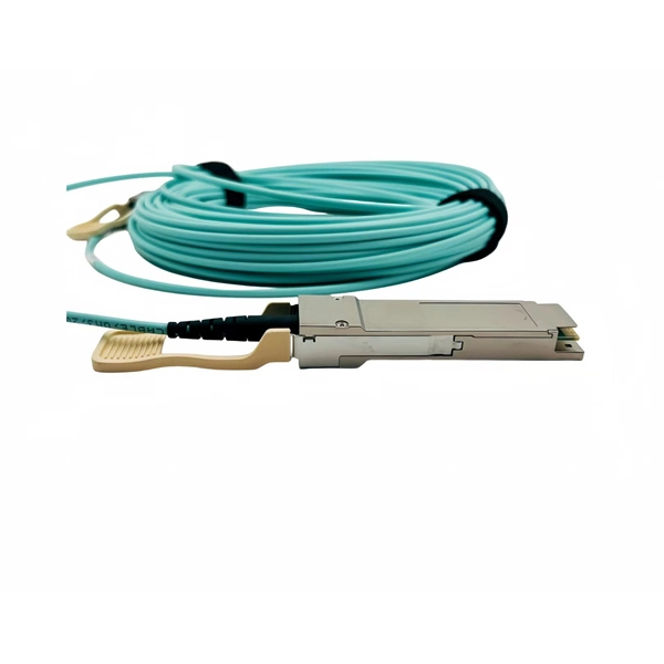 Network security equipment to prevent DDoS attacks